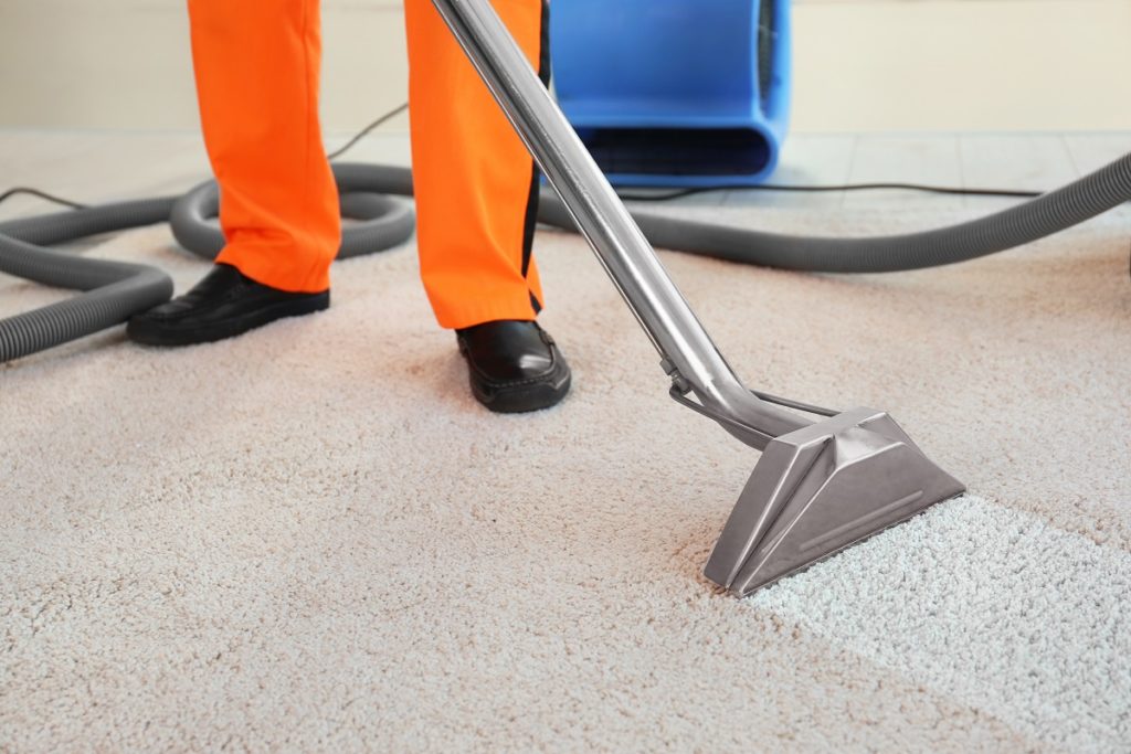 maxi-max carpet cleaning